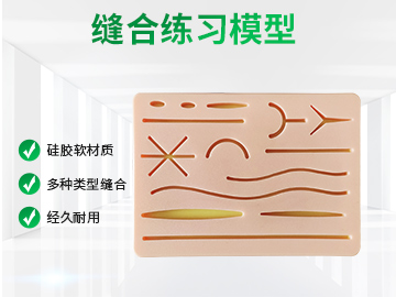 腹腔手术练习缝合模块
